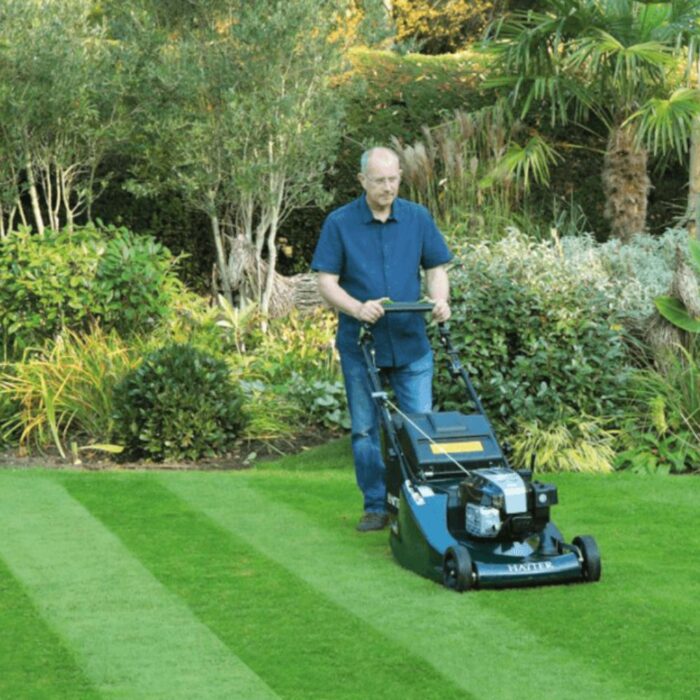 HAYTER Harrier 56 BBC VS Petrol Lawnmower (575A) - Image 4