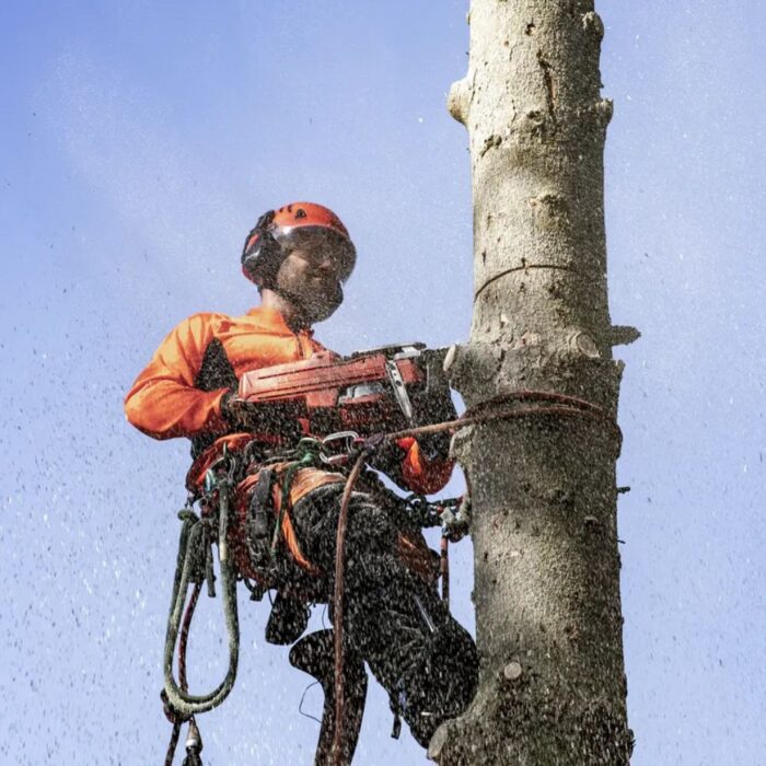 HUSQVARNA 550 XPG MK2 Chainsaw - Image 4