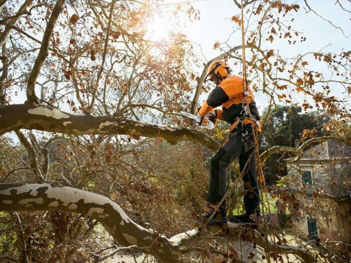 STIHL MS 151 TC-E Petrol Chainsaw - Image 3