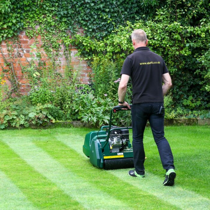 ALLETT KENSINGTON 14B Petrol Cylinder Mower - Image 4