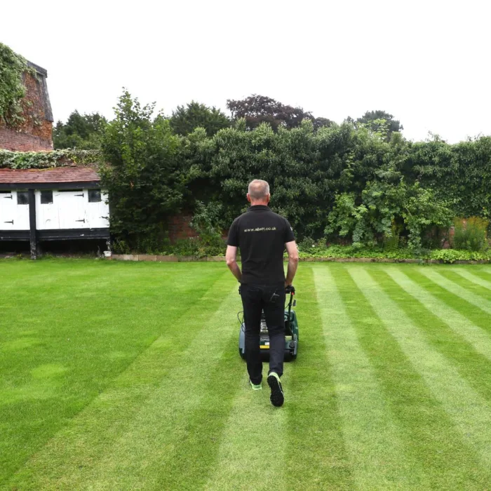 ALLETT KENSINGTON 17B Petrol Cylinder Mower - Image 4