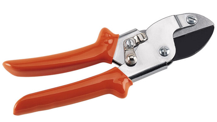 STIHL PG 25 Anvil Secateurs