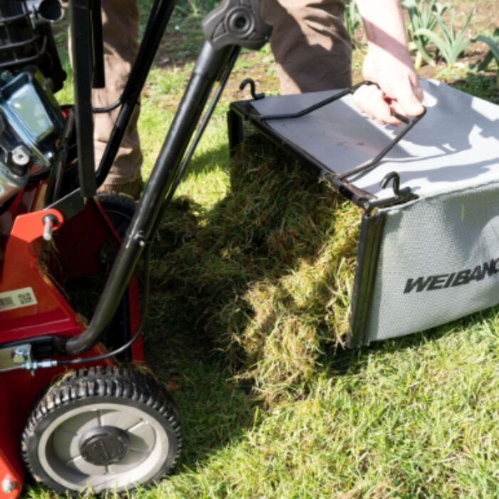 WEIBANG Intrepid 384RB Petrol Scarifier - Image 5