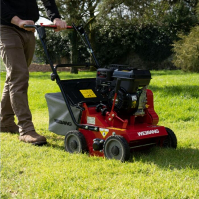 WEIBANG Intrepid 384RB Petrol Scarifier - Image 3