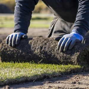 a man laying new turf in a garden