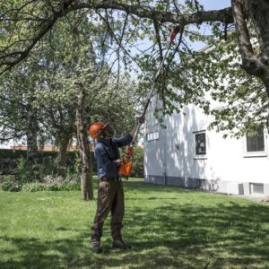 a man using a multi tool with pole pruner attachment