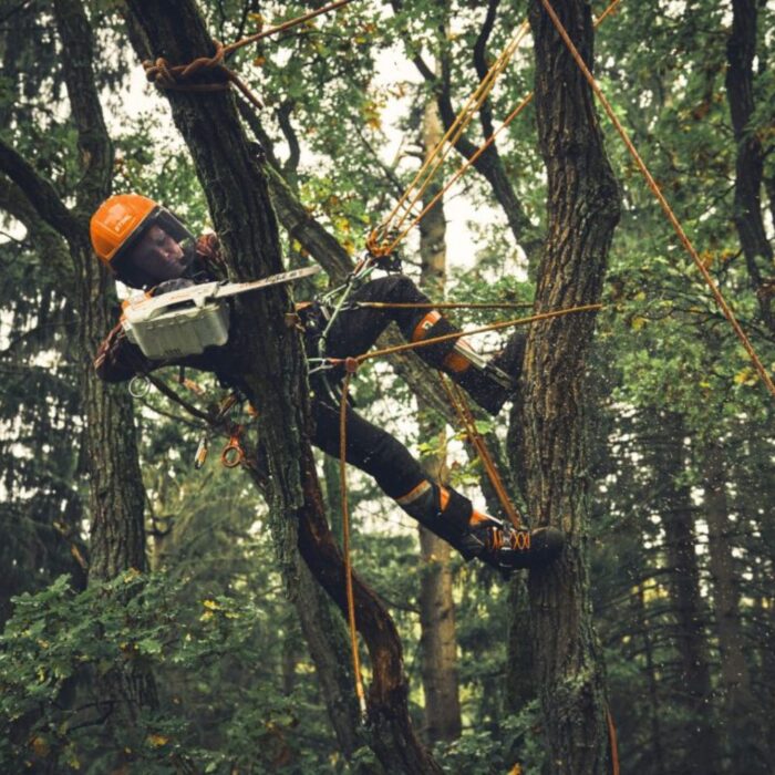 STIHL MSA 190 T Cordless Top Handle Chainsaw - Image 4