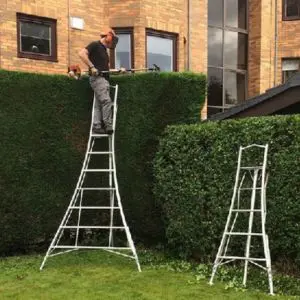 a man stood on one of two Henchman ladders, trimming the top of a hedge