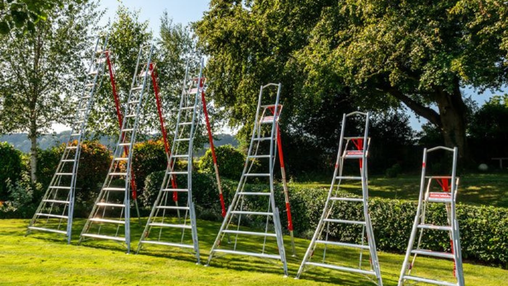 6 differently sized Henchman Ladders in a garden
