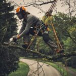 someone wearing a harness and PPE, stood on a tree branch, using a pruning saw