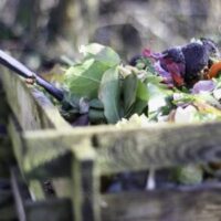 vegetables and other organic matter in a slatted, wooden composter
