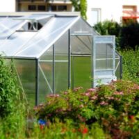 an empty greenhouse with its door and vent open, plants in the foreground