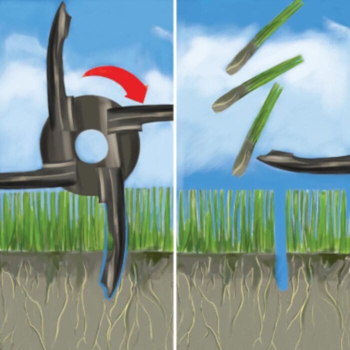WEIBANG Intrepid 51 ARP Petrol Lawn Aerator - Image 3