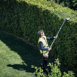 a man in a high-visibility jacket, trimming the top of a hedge with a long-reach hedge trimmer
