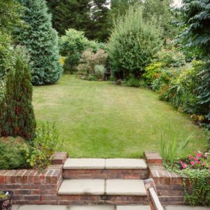 2 large steps leading up to a beautiful garden, including a lawn, trees and shrubs