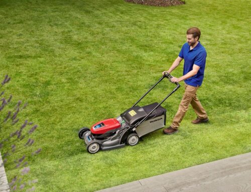 Cutting Through Confusion: Choosing the Right Lawn Mower Width