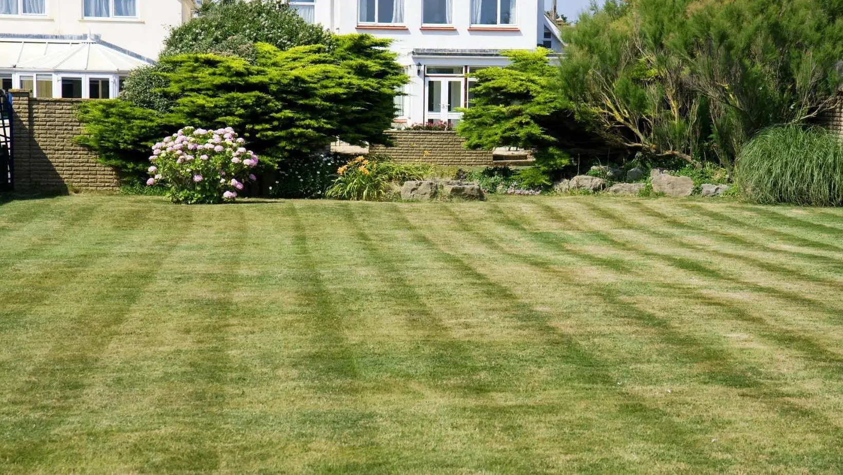 lawncare-min a large, striped lawn in front of trees, shrubs and 2 white houses