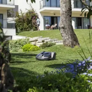 a Husqvarna Automower travelling down a slight incline on a lawn, with a tree and white buildings in the background