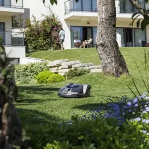 a Husqvarna Automower on an undulating lawn, with plants in the foreground, and a tree, steps and a large white house in the background