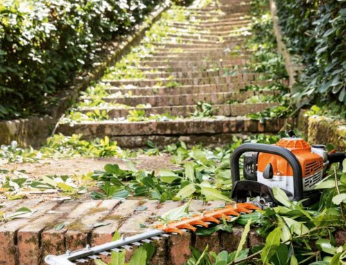 Is It Time to Repair or Retire (and Replace) Your Hedge Trimmer?