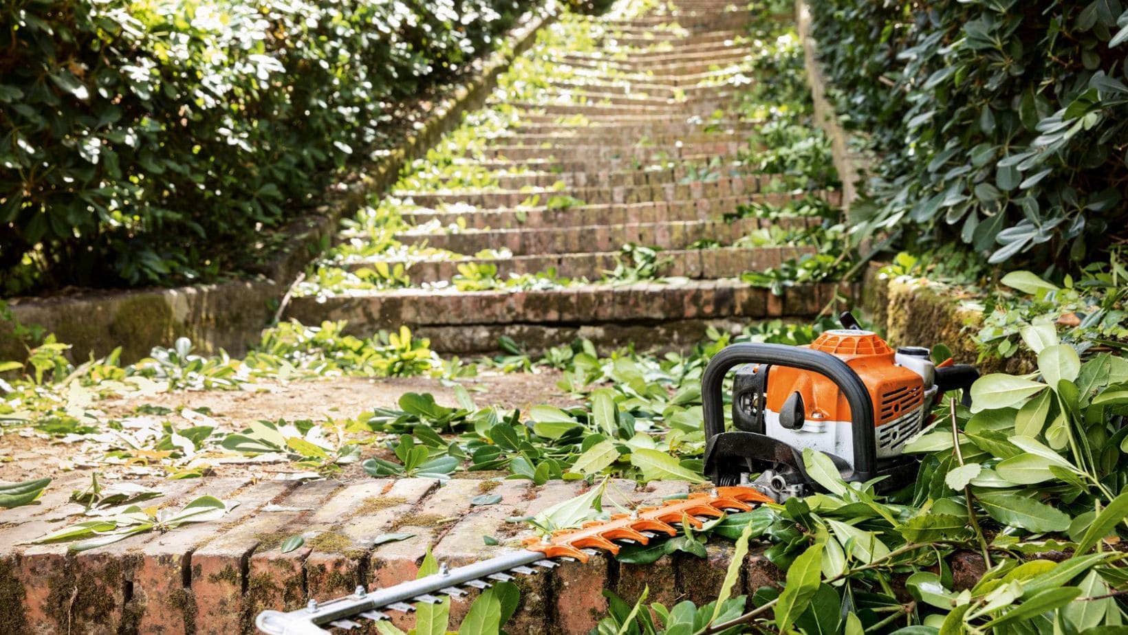 an orange STIHL hedge trimmer at the bottom of a flight of steps, which is sprinkled in hedge cuttings