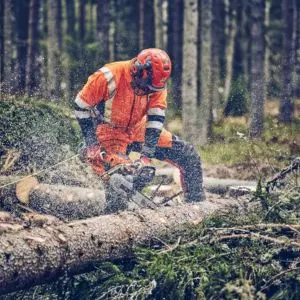 a man in full orange PPE using the Husqvarna 560 XP® Mark II to cut a fallen tree trunk in a forest
