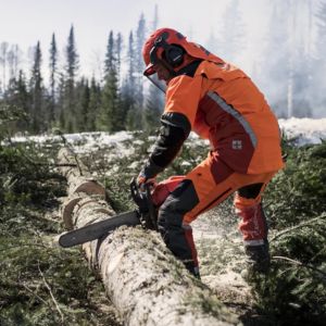 a man in full orange PPE using a Husqvarna chainsaw to cut a log outside a forest