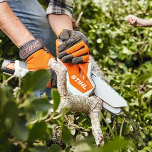 someone using the STIHL GTA 26 Cordless Pruner to cut a branch
