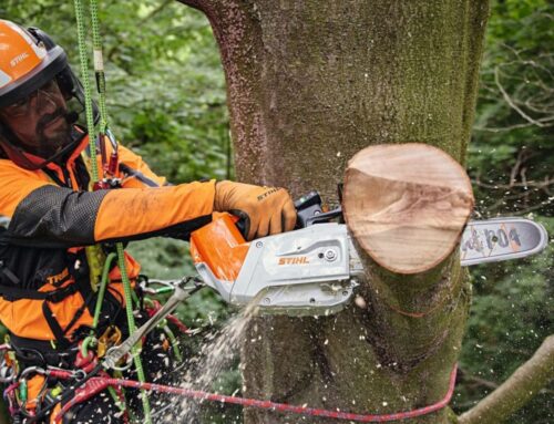 Top Handle Chainsaws: When to Use One