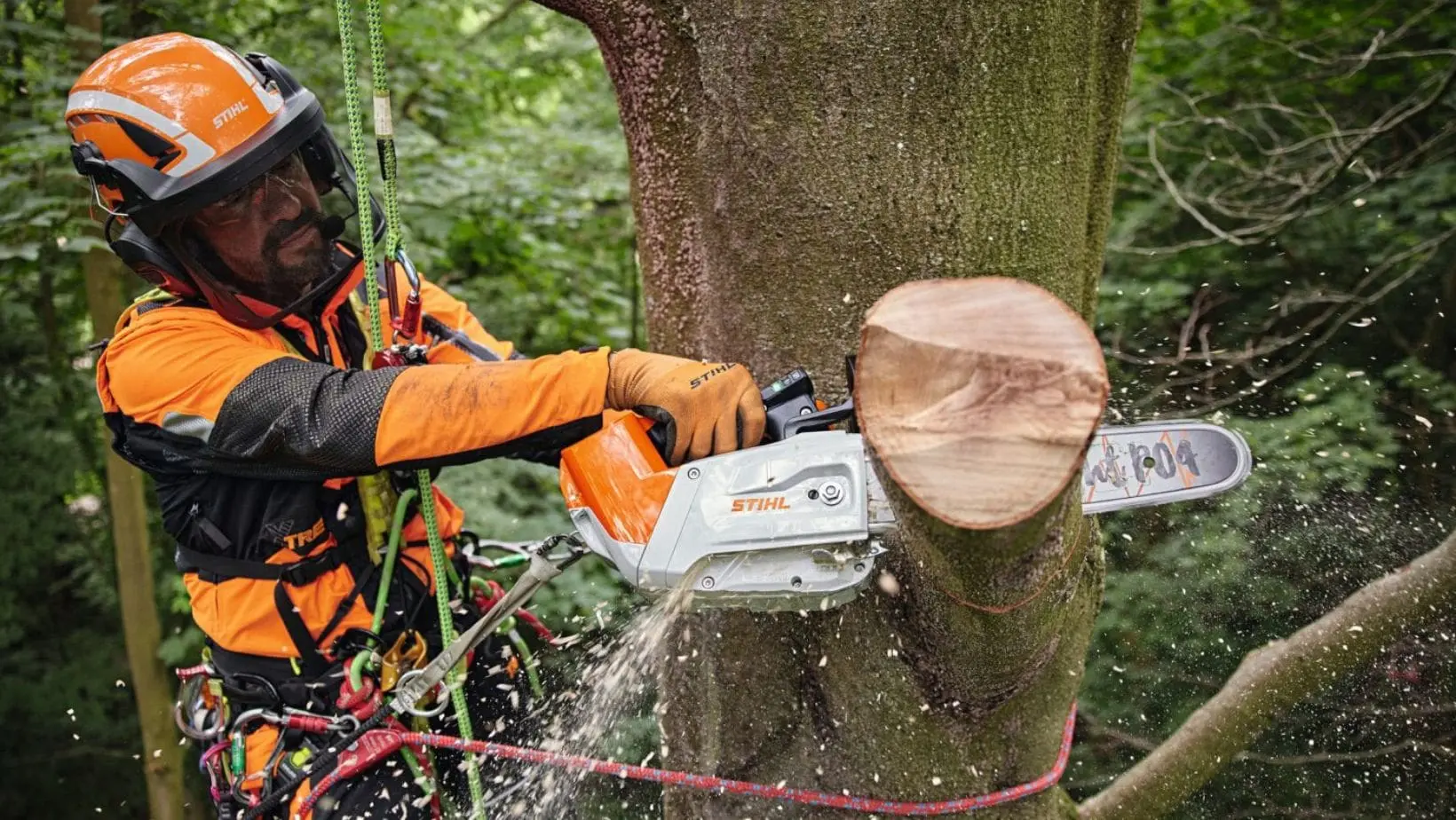 a man in a tree, wearing orange PPE and a safety harness, using the STIHL MSA 220 T Cordless Top Handle Chainsaw to cut off a branch