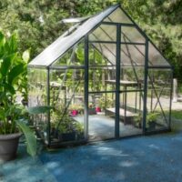a green aluminum greenhouse with double doors and an open vent, positioned on paving stones and containing a variety of plants