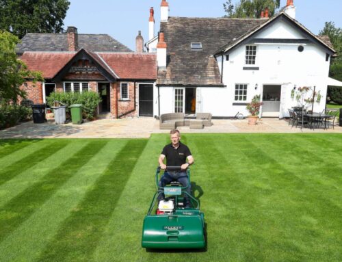 How to Achieve Perfect Lawn Stripes This Summer