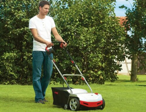 Autumn Countdown: Get Prepared to Scarify Your Lawn
