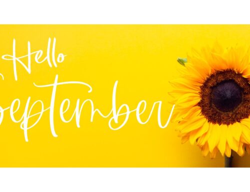 September Gardening Tips: 10 Garden Jobs for Autumn