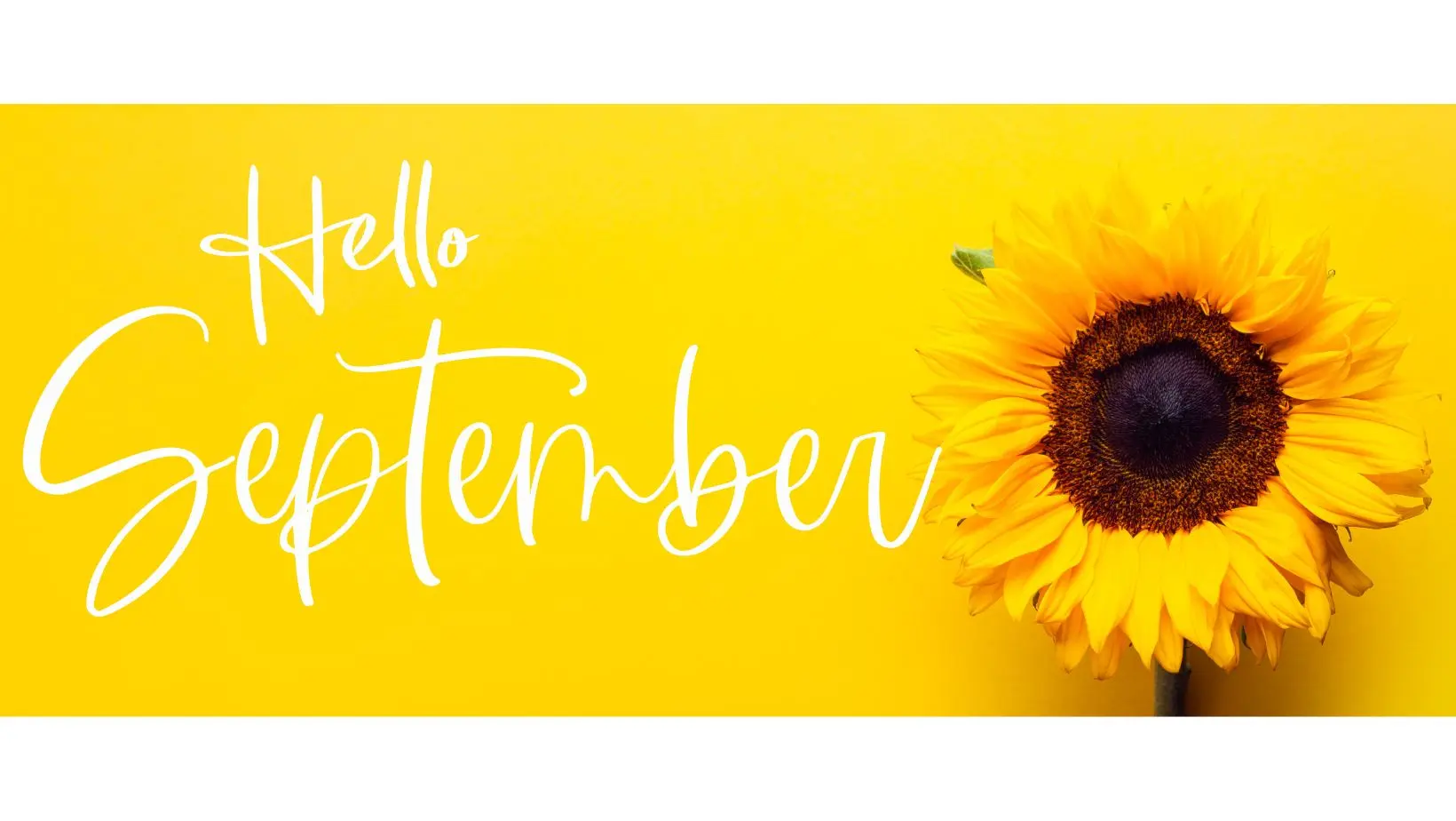 September-min a sunflower and the words 'Hello September' on a yellow background