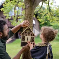 a bearded man and his daughter hanging a bug hotel on a tree