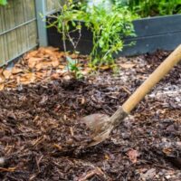 autumn garden maintenance, with someone using a spade to apply mulch to a border
