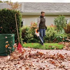 a man operating the STIHL BGA 50 Cordless Leaf Blower on a lawn, in front of a bungalow, with a hedge, rake and green bag in the foreground