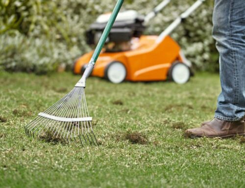 The Differences Between Aerating, Dethatching, and Scarifying
