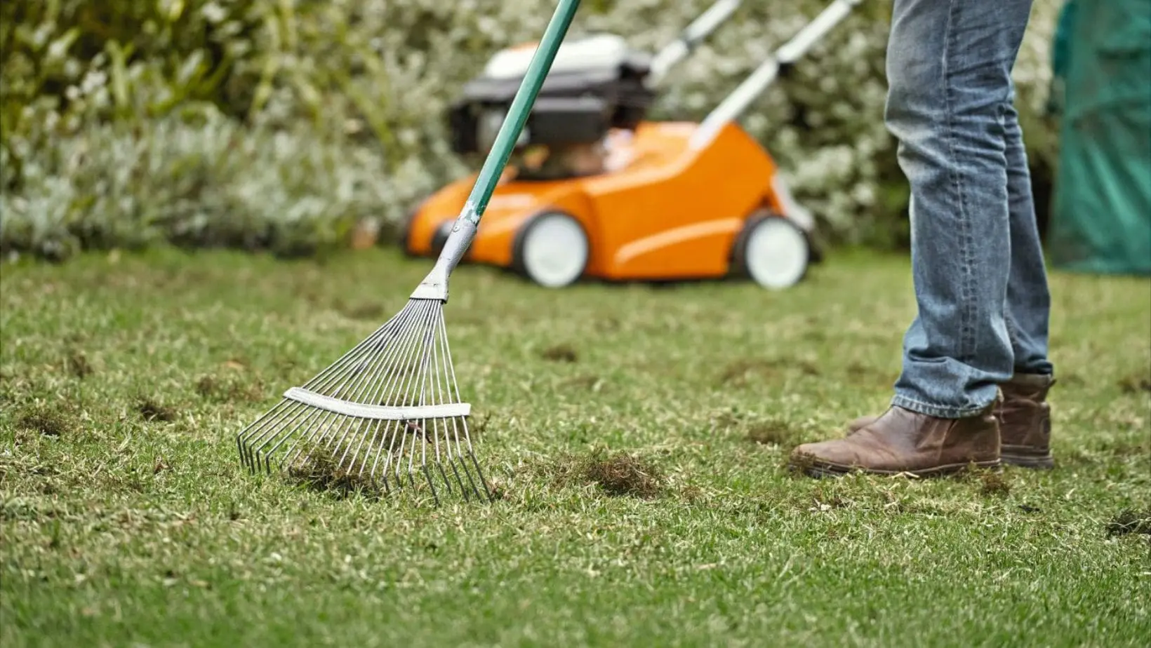 a man using a rake to remove thatch from a lawn, with a STIHL scarifier in the background