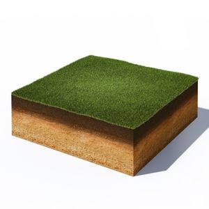 a 3D computer generated graphic showing the three layers of ground found on a lawn, set against a white background