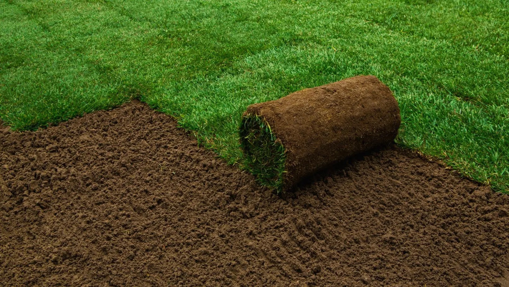 a roll of new turf on a partly-laid lawn