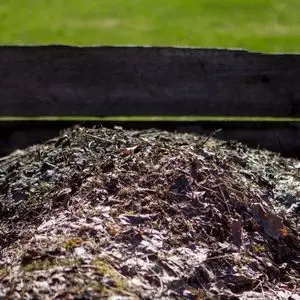 leaves composting in a slatted wooden composter