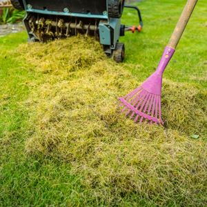 someone raking a pile of thatch on a lawn, with an upturned scarifier in the background