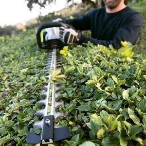 a man with a beard, using the EGO HT6500E Cordless Hedge Trimmer to cut the top of a hedge
