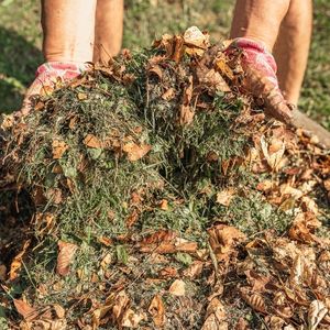 a close up of someone holding compost, containing grass, leaves, and other organic matter