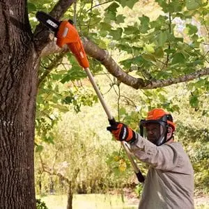 a man wearing an orange hard hat and visor, using an ECHO pole pruner to remove a branch from a tree