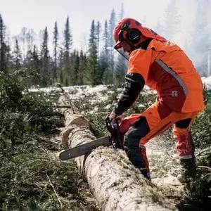 a man wearing orange chainsaw PPE, using a Husqvarna chainsaw to cut a log in a forest clearing