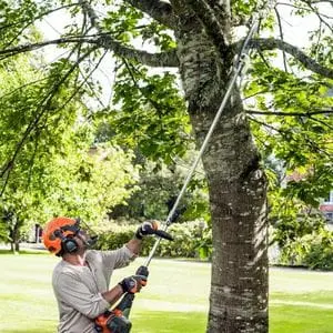 a man in a park, using a Husqvarna pole saw to prune a tree