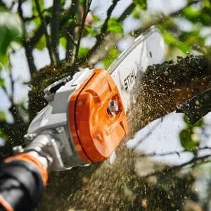 a close up of the STIHL HTA 135 Cordless Pole Pruner cutting into a tree branch